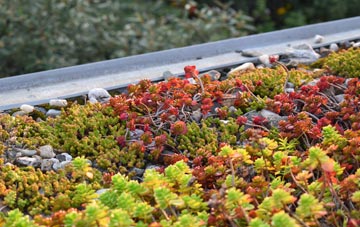 the cost of South Weston green roof installation