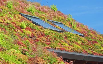South Weston living roof systems