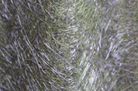 South Weston fibreglass roof work